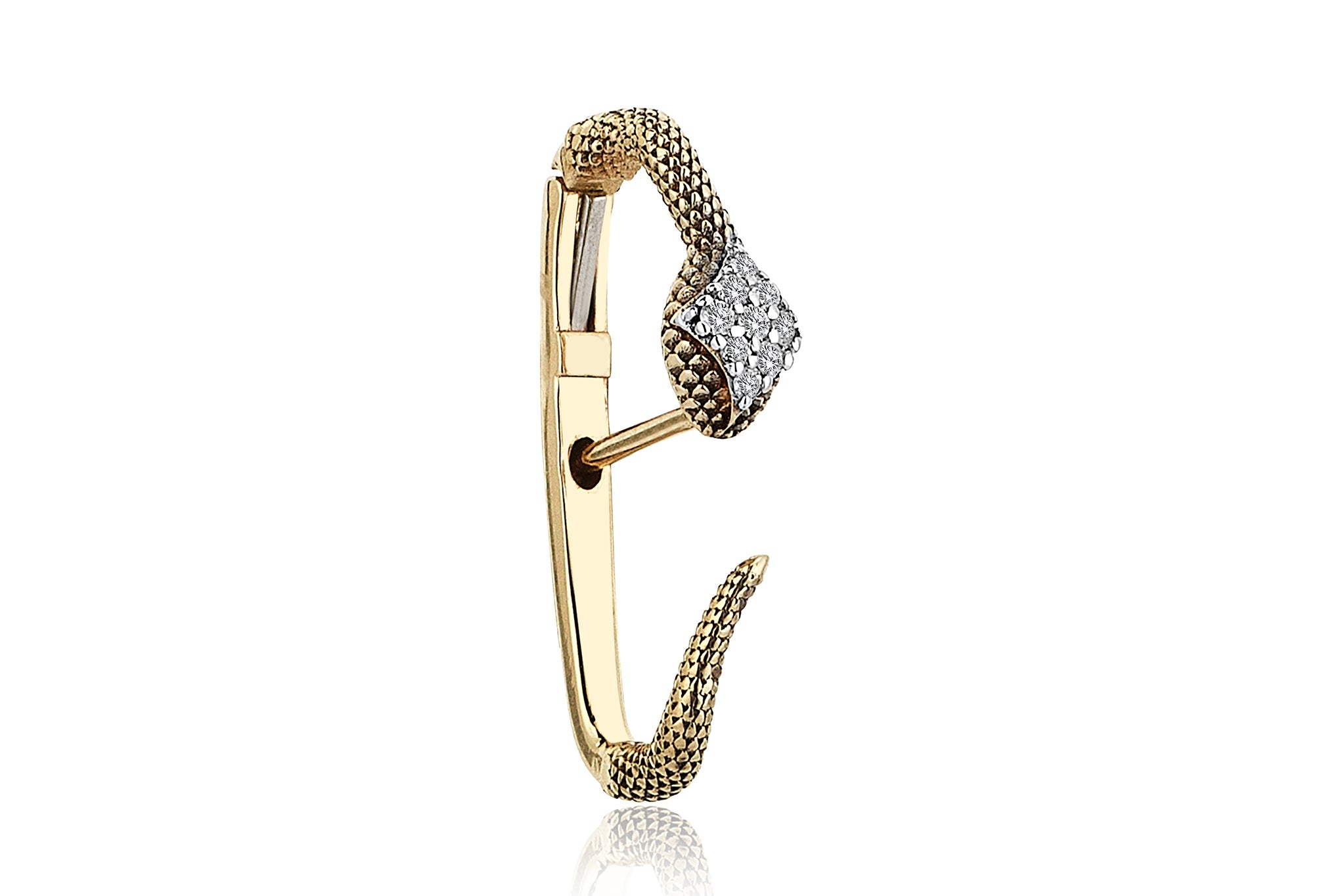 Snake Earcing