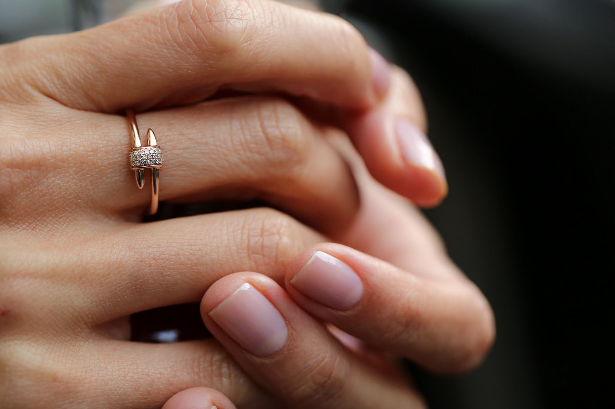 Segmented Ring
