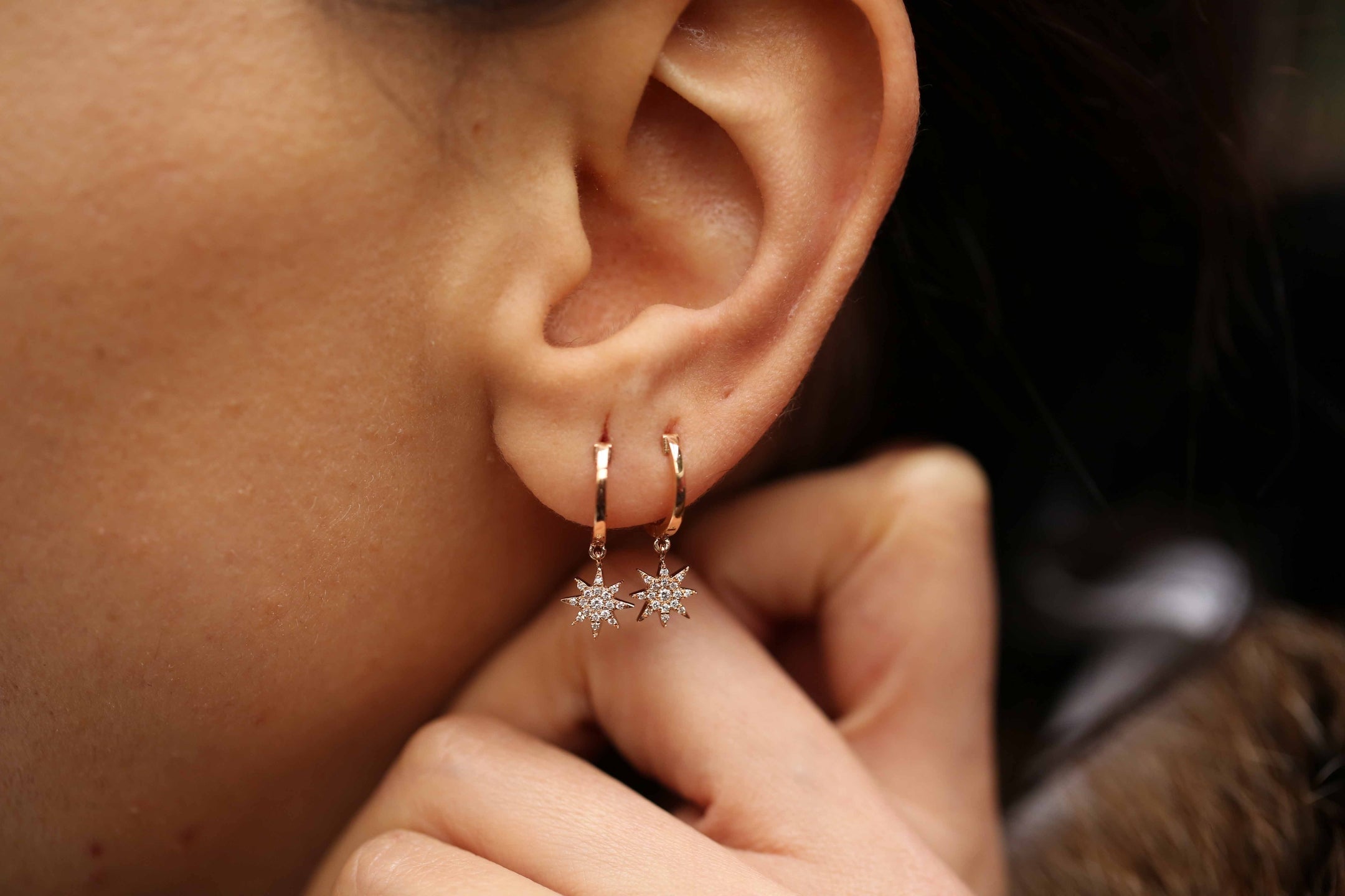 North Earrings