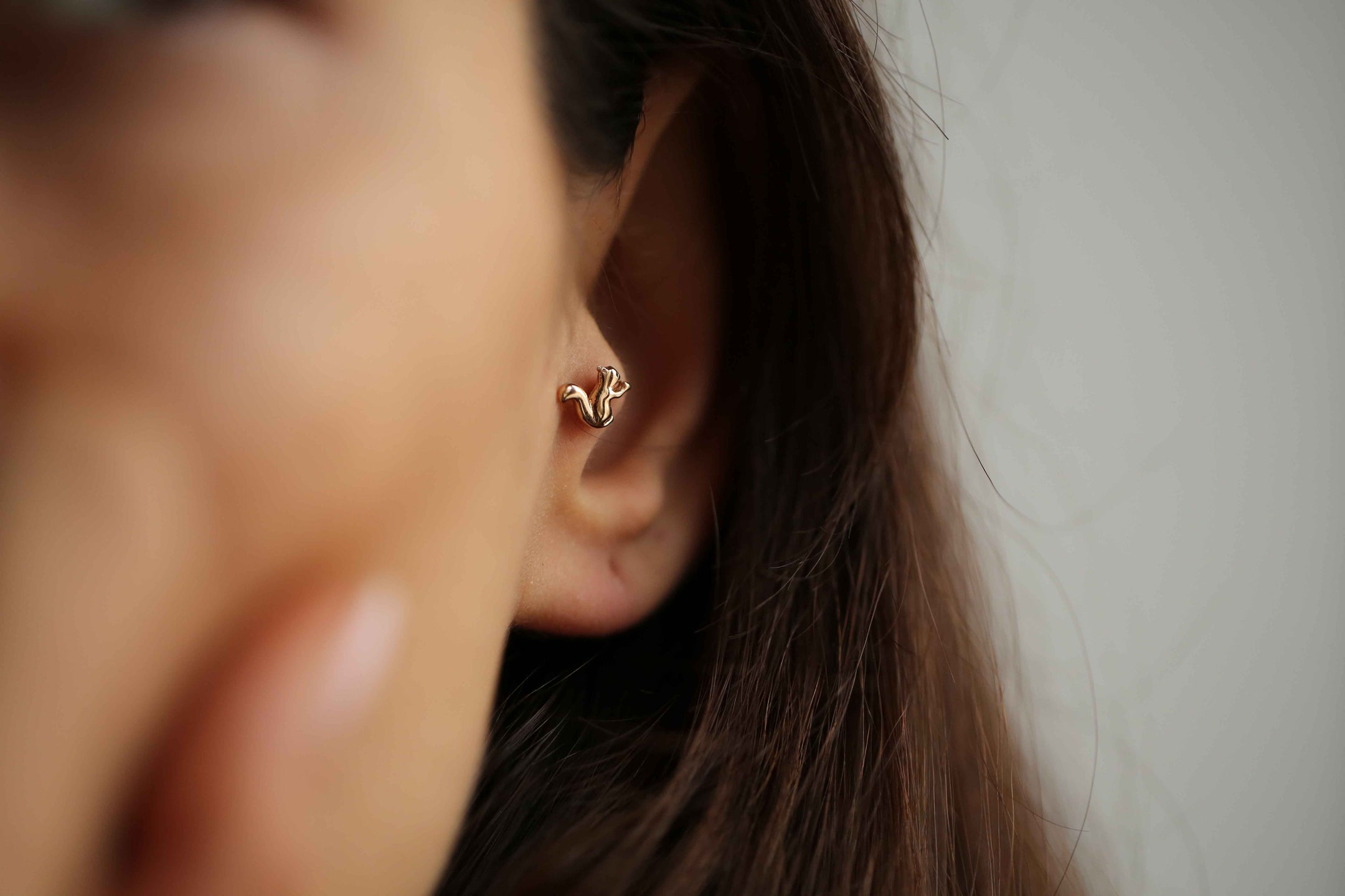 Squirrel Piercing