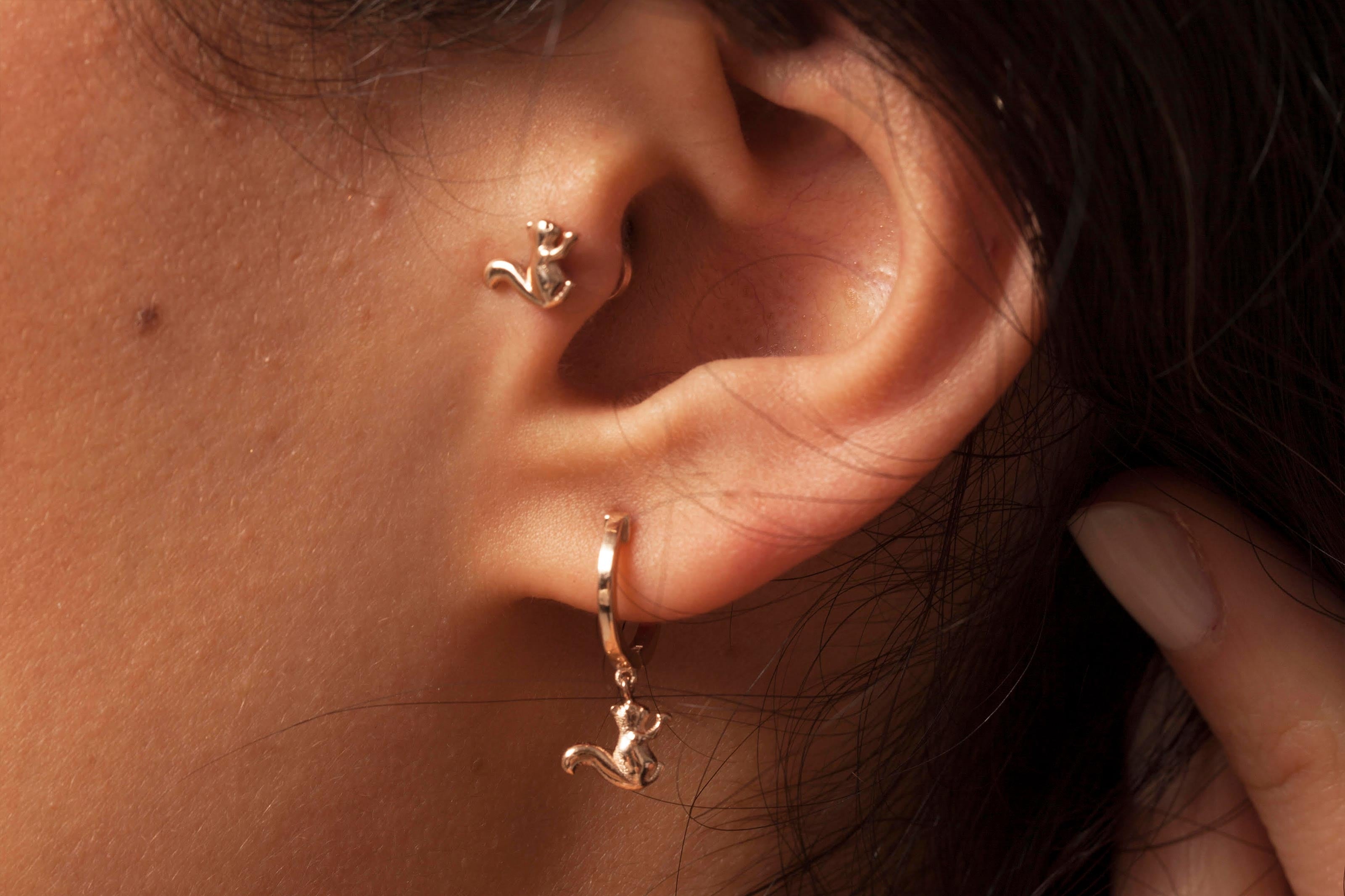 Squirrel Piercing
