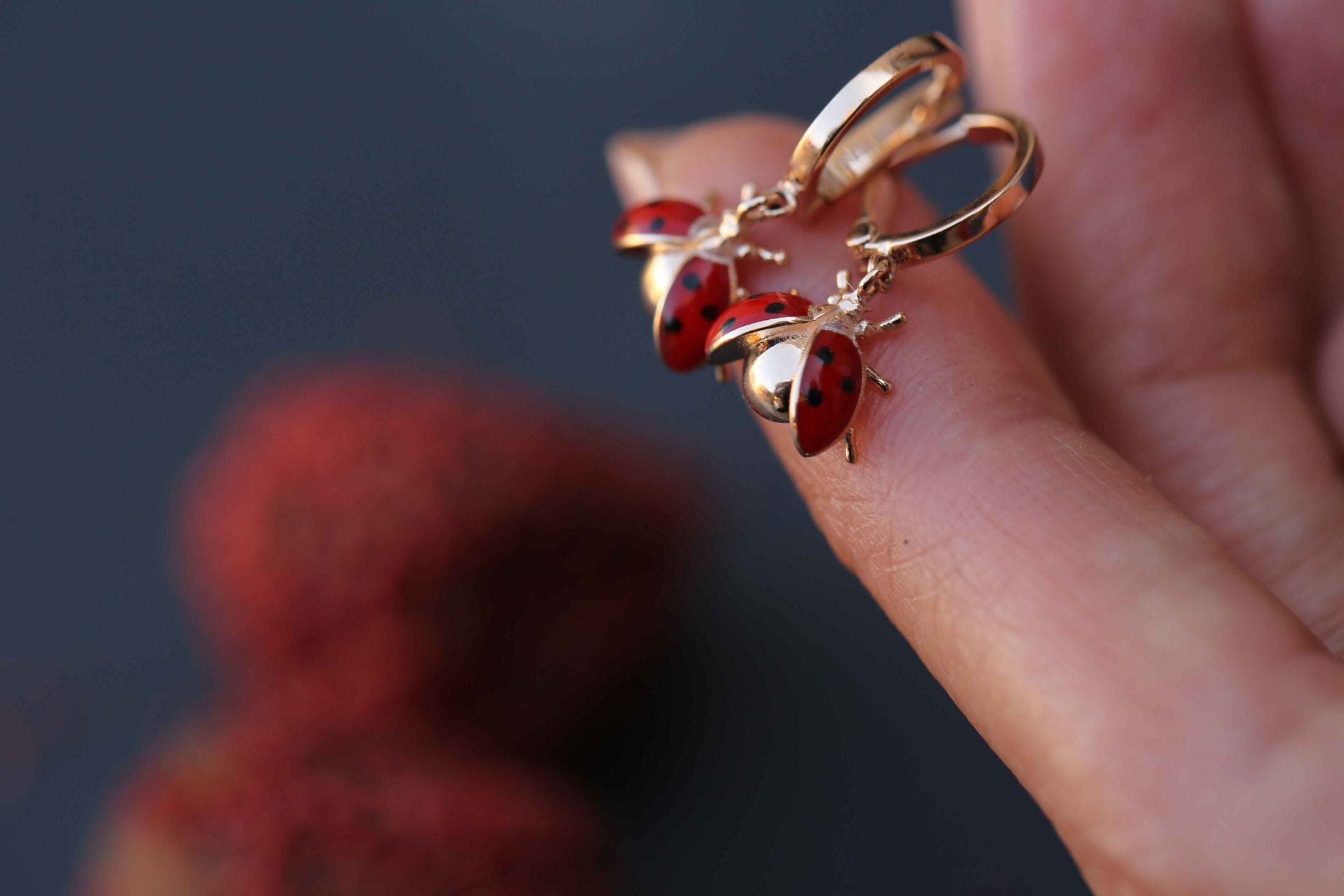 Ladybird Earrings