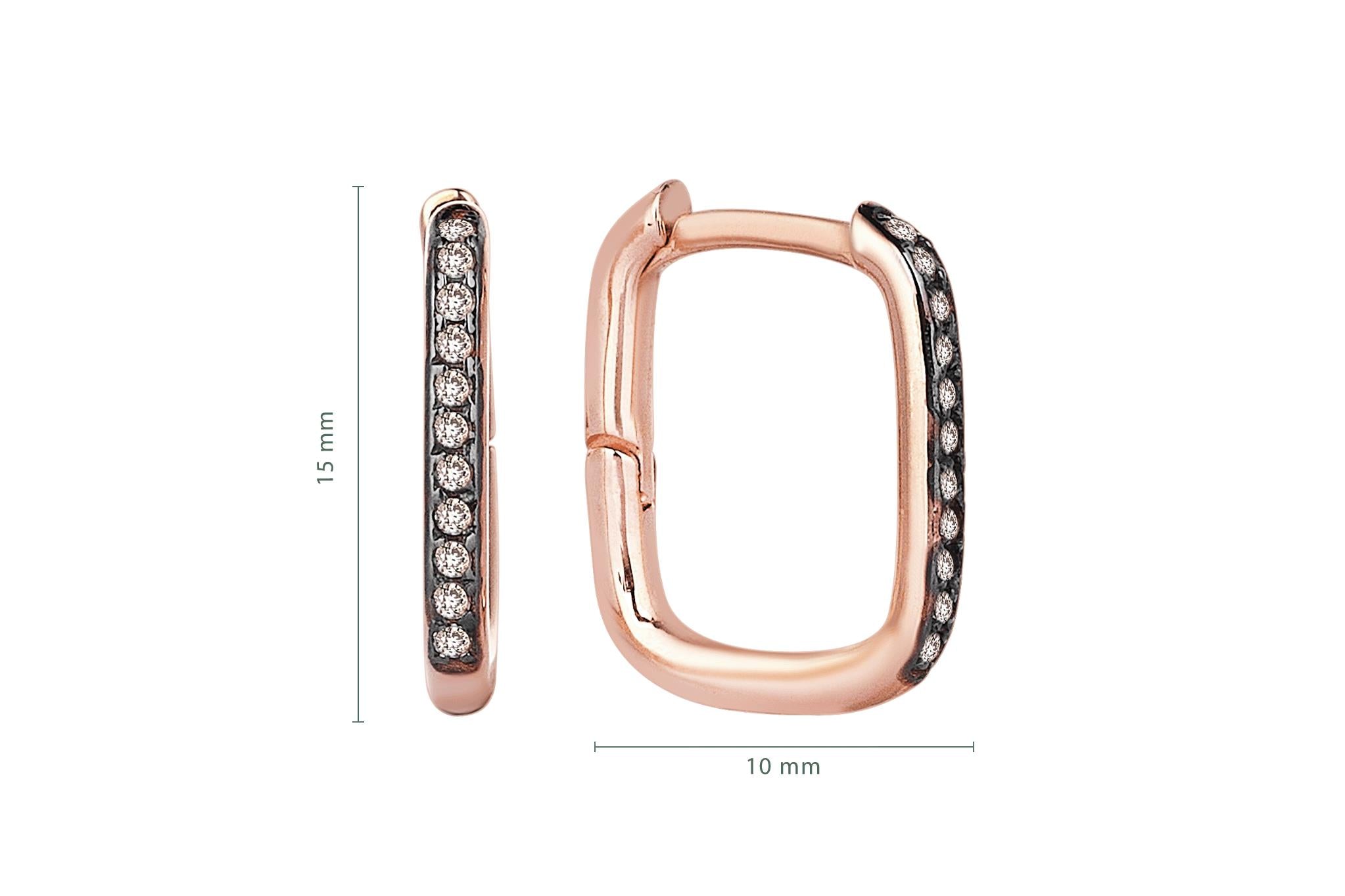 Rectangular Brown Earrings