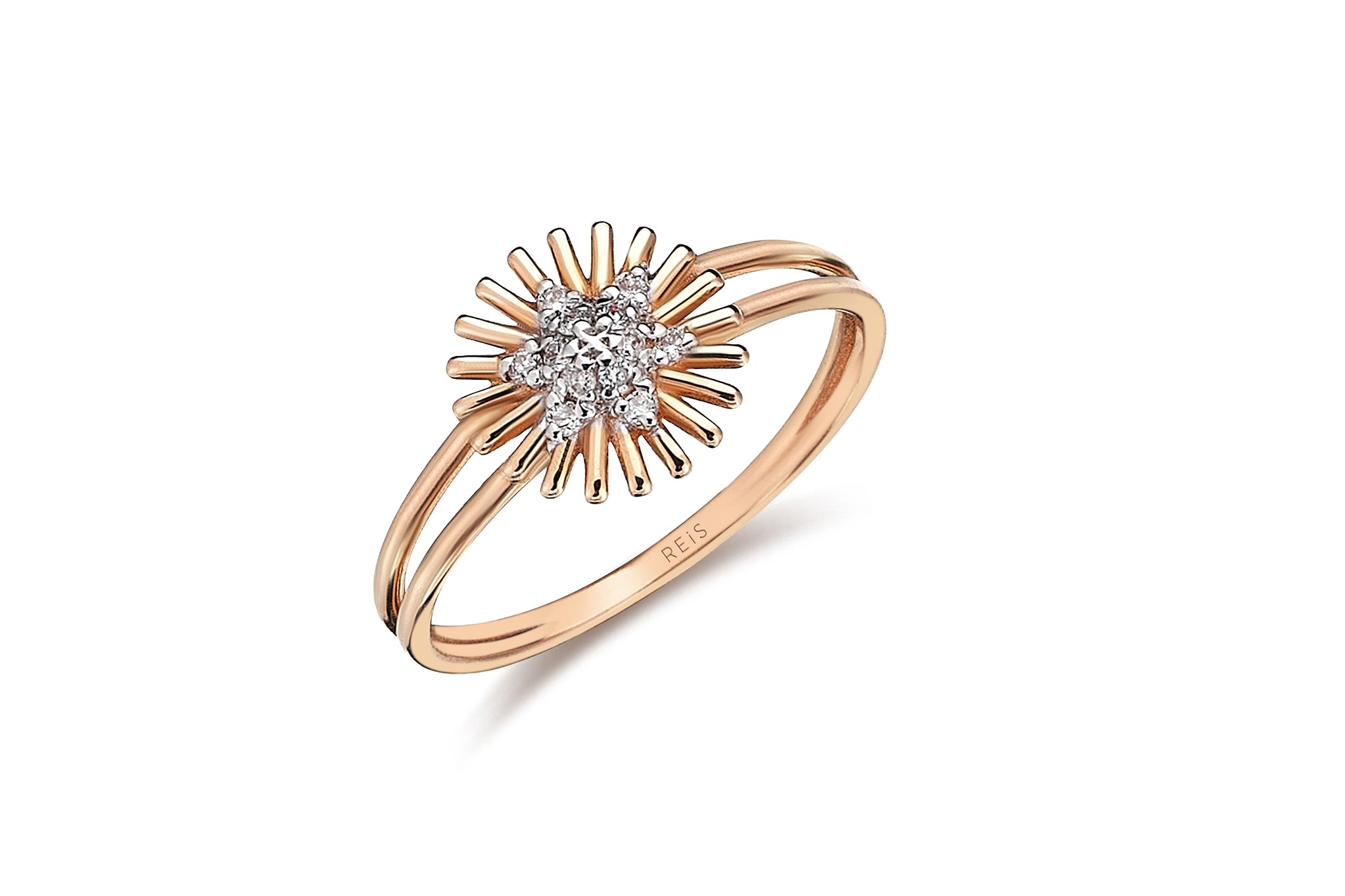 Ubuntu Sun Ring