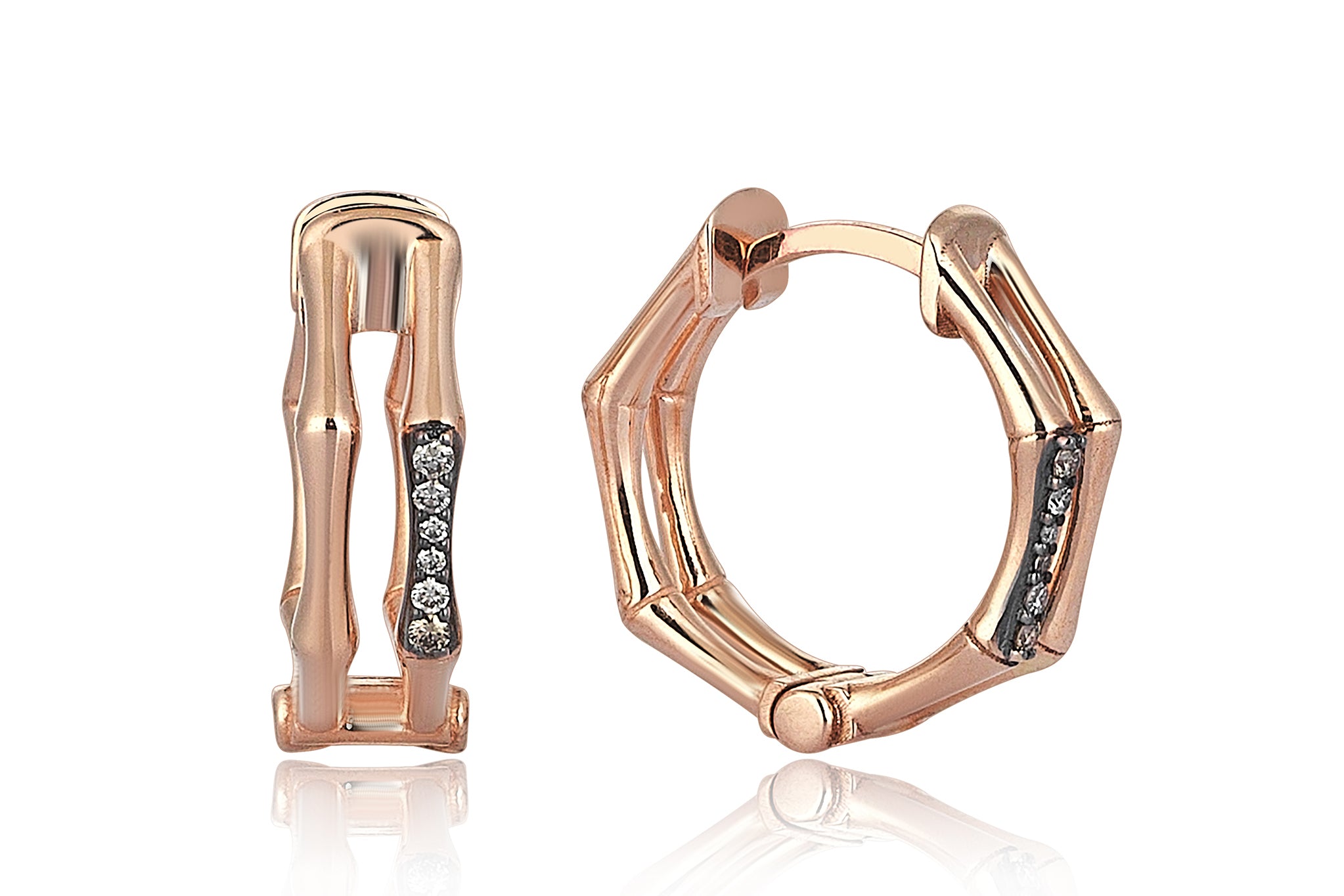 Bone Brown Earrings