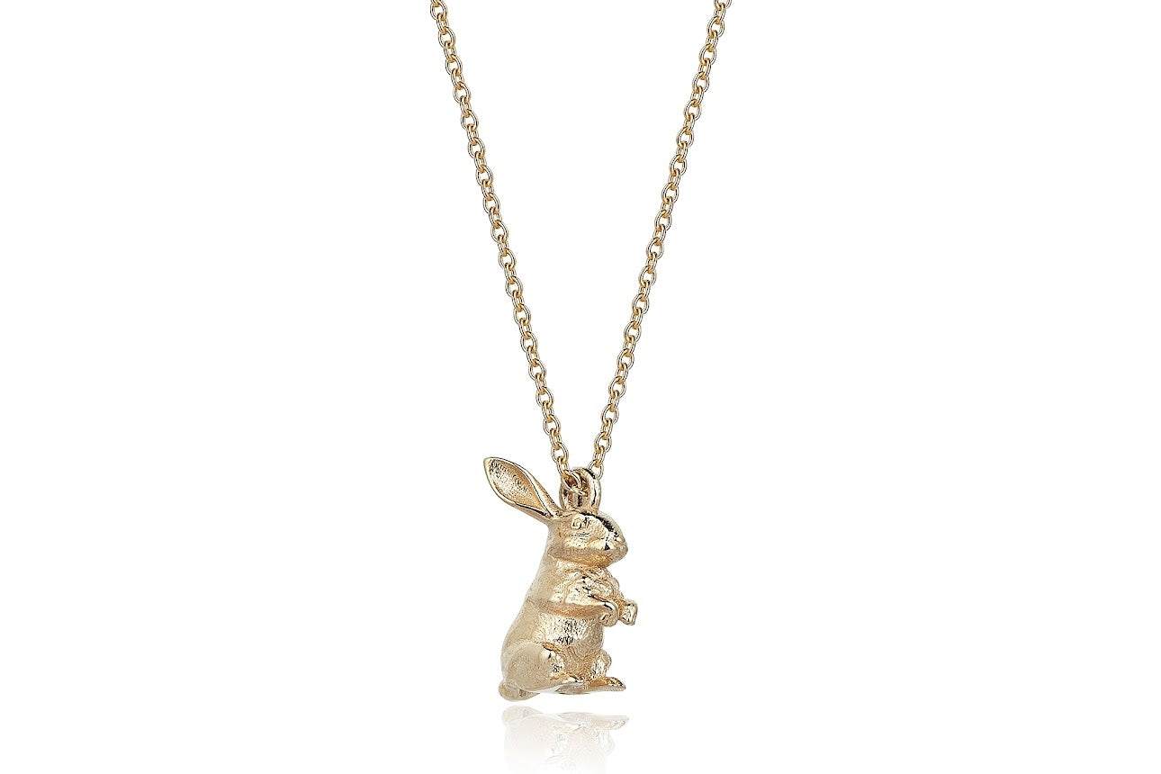 The Bunny