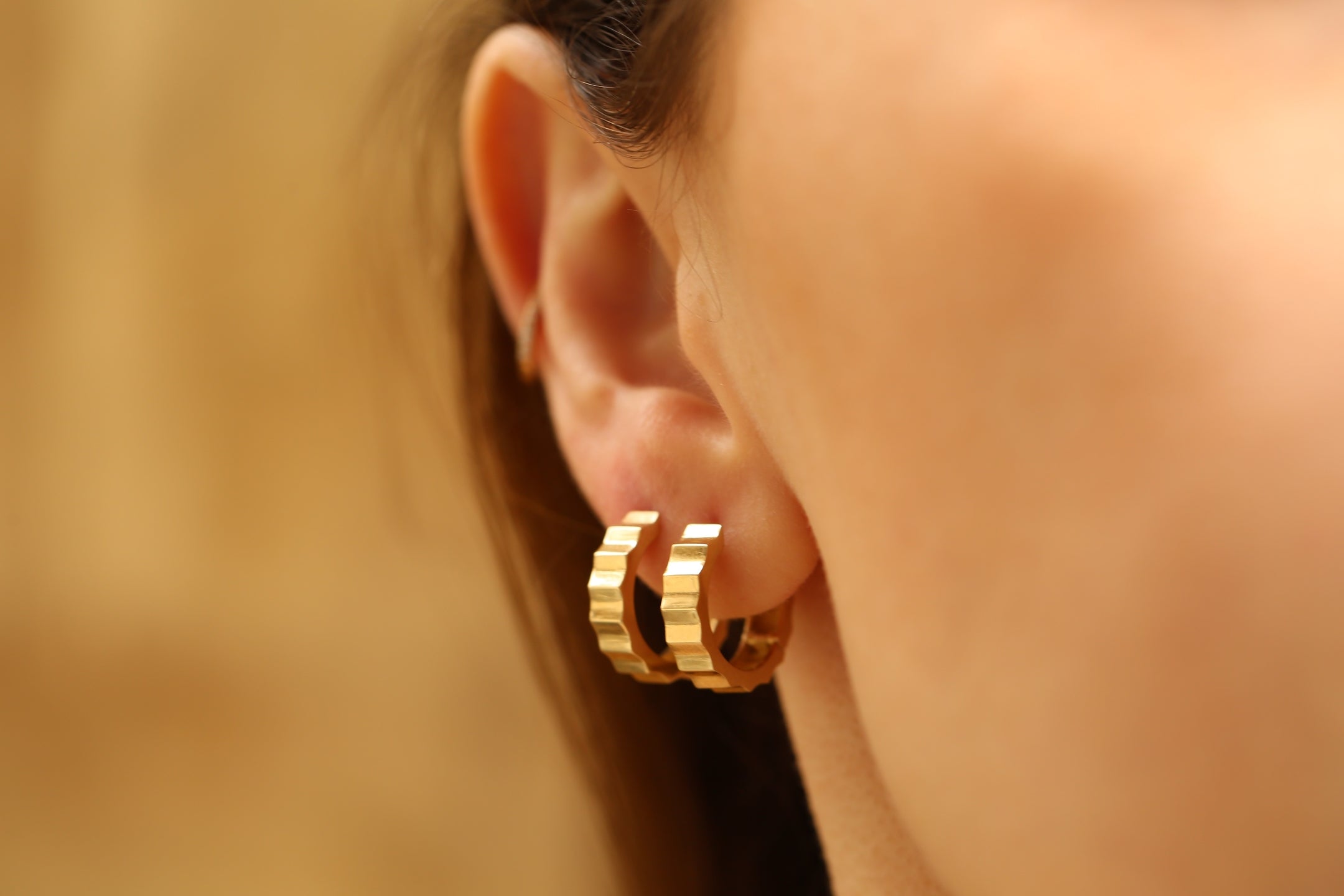 Twisted Earrings