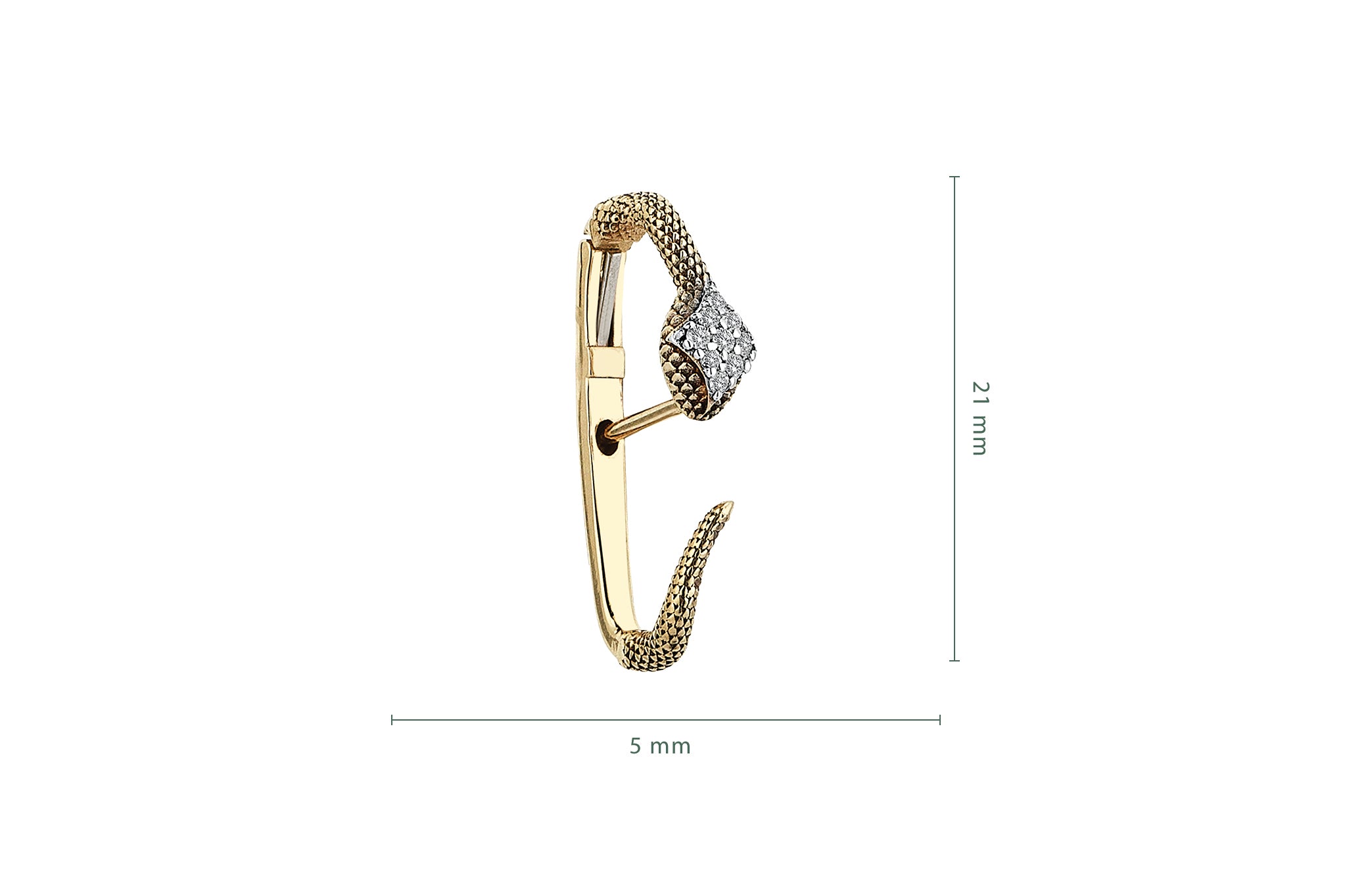 Snake Earcing