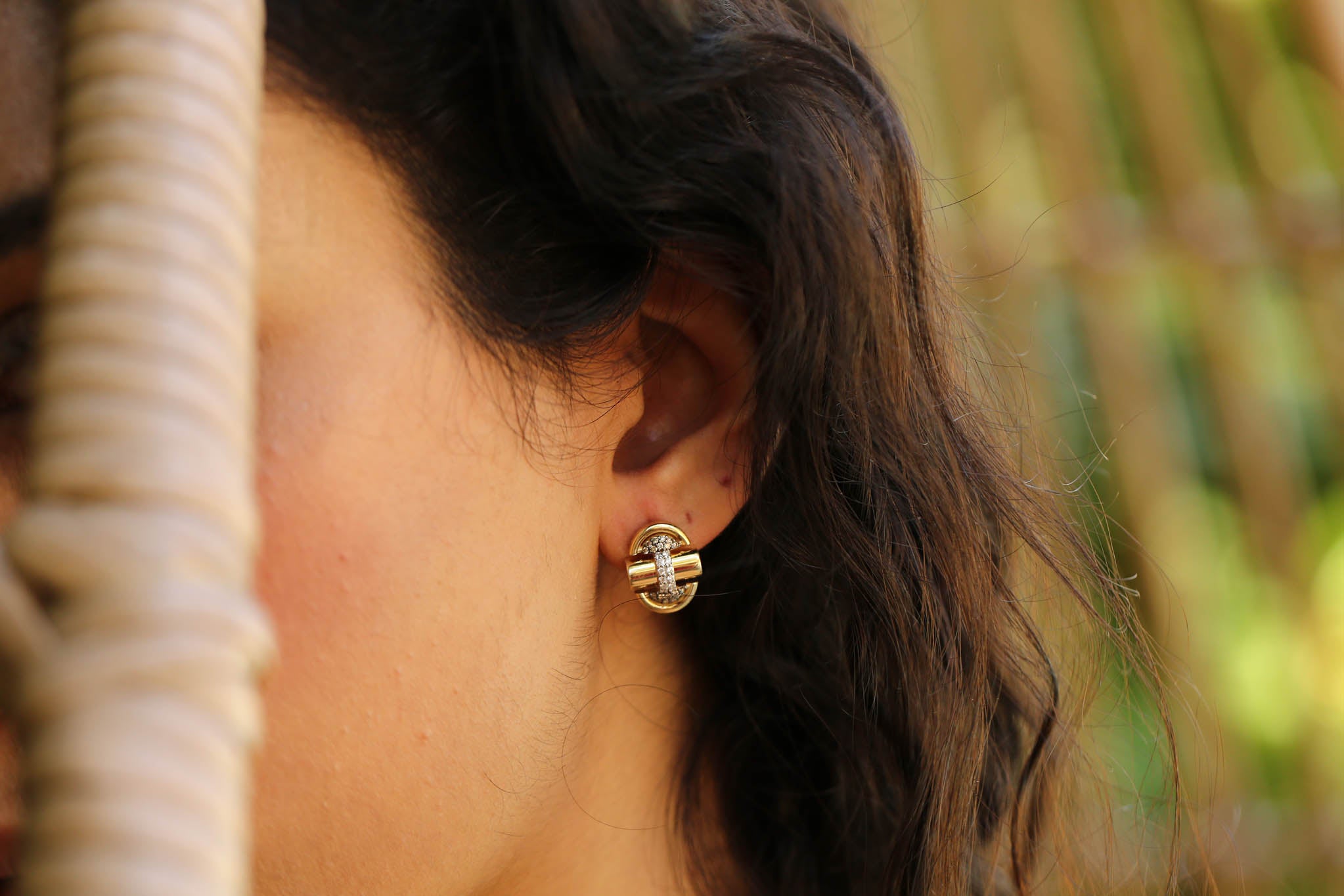 Gala Posh Earrings