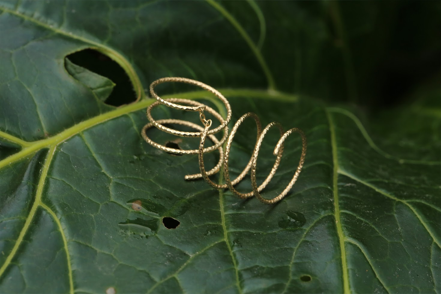 Yoyo Ring