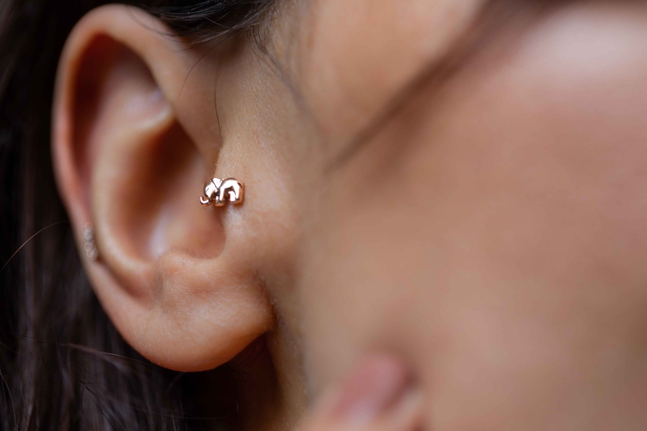 Elephant Piercing