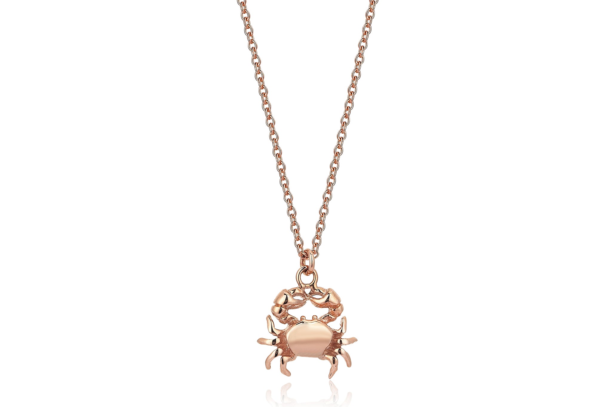 The Crab