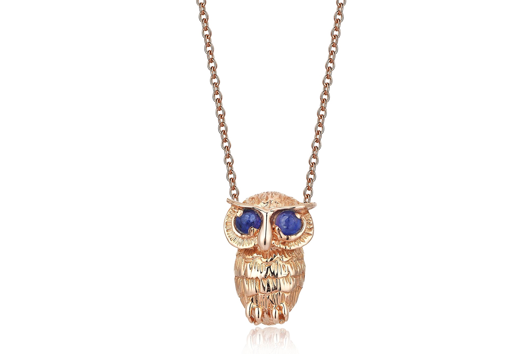 The Owl