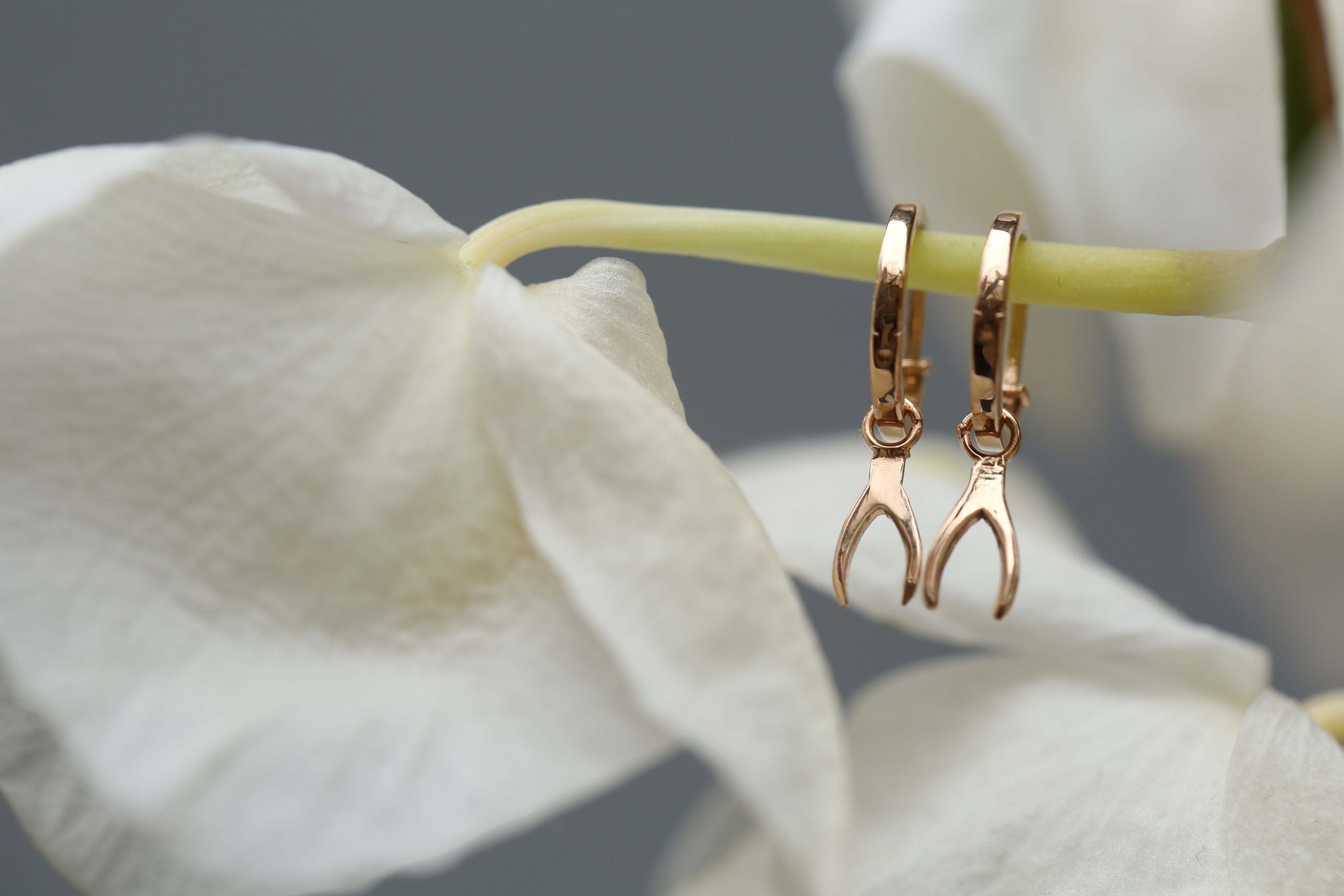 Lades Earrings