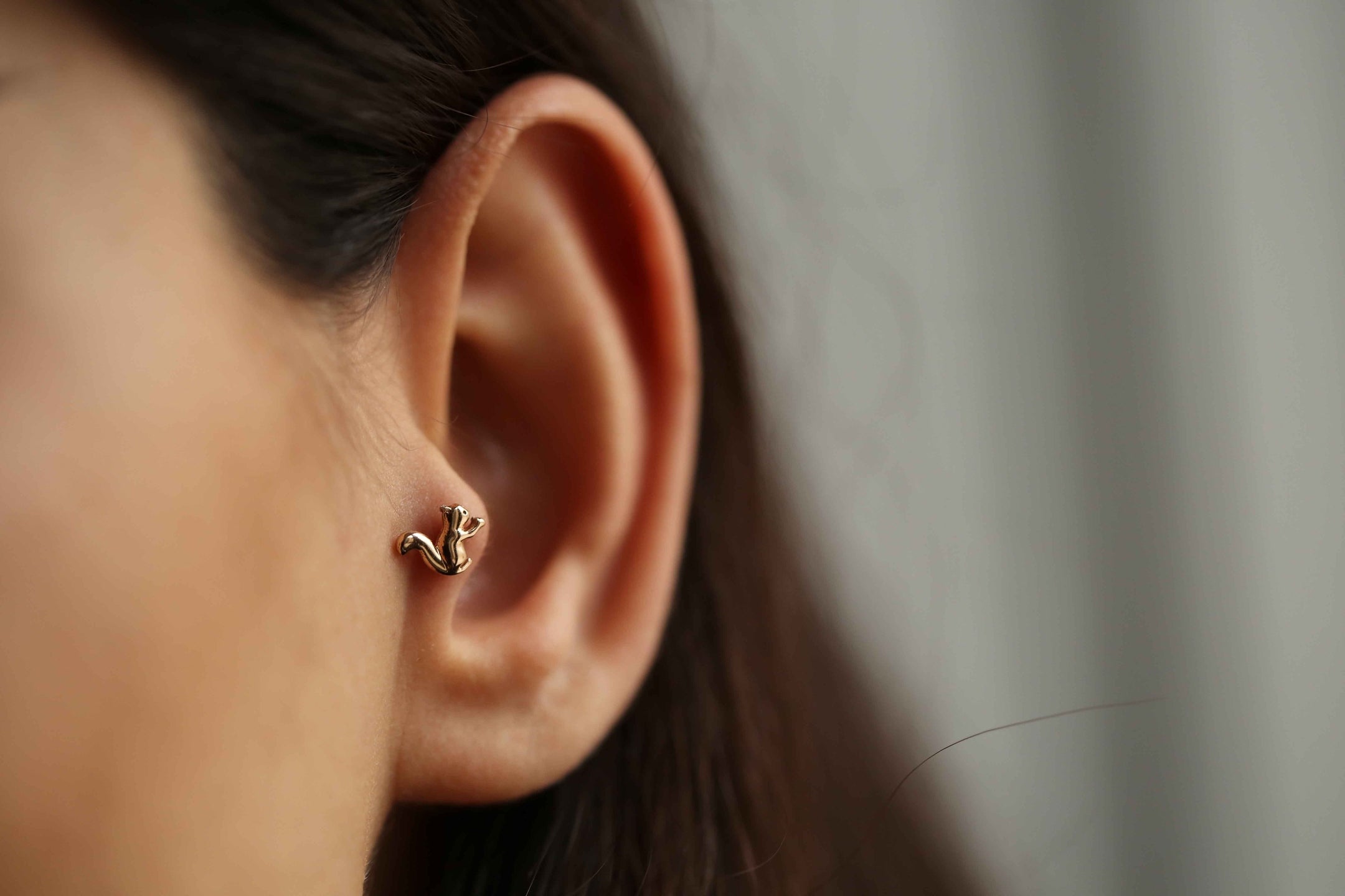 Squirrel Piercing