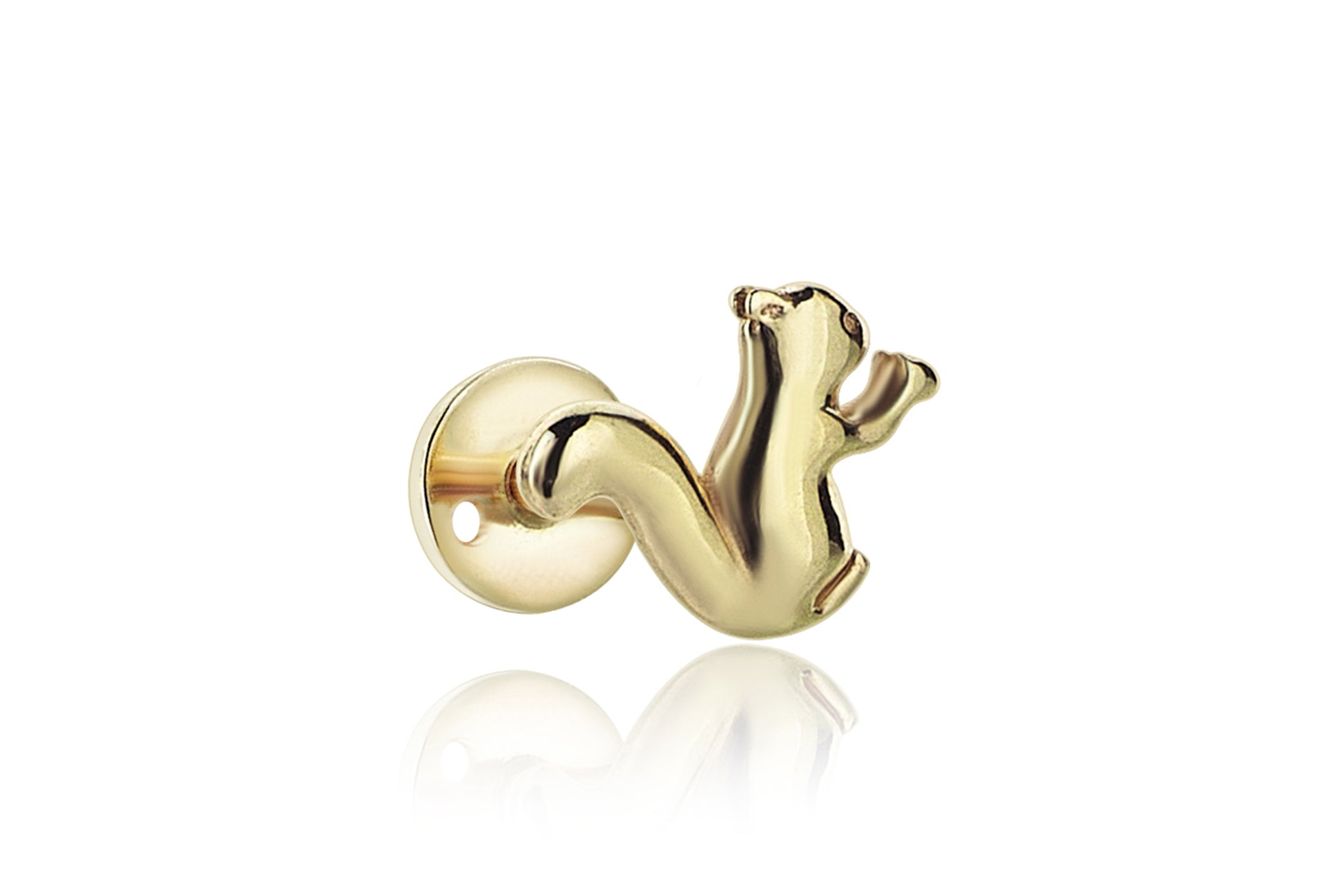 Squirrel Piercing