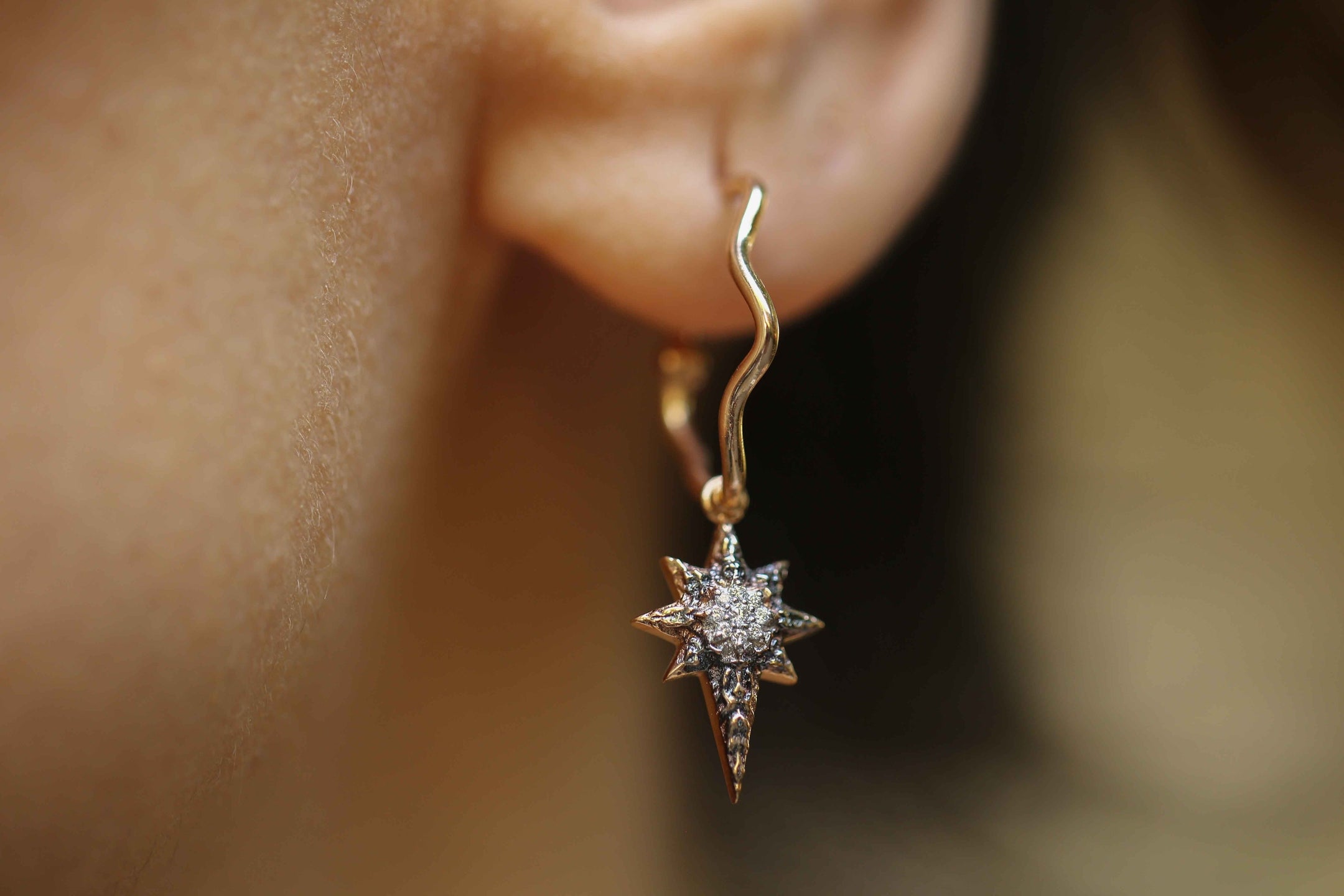 North Earrings