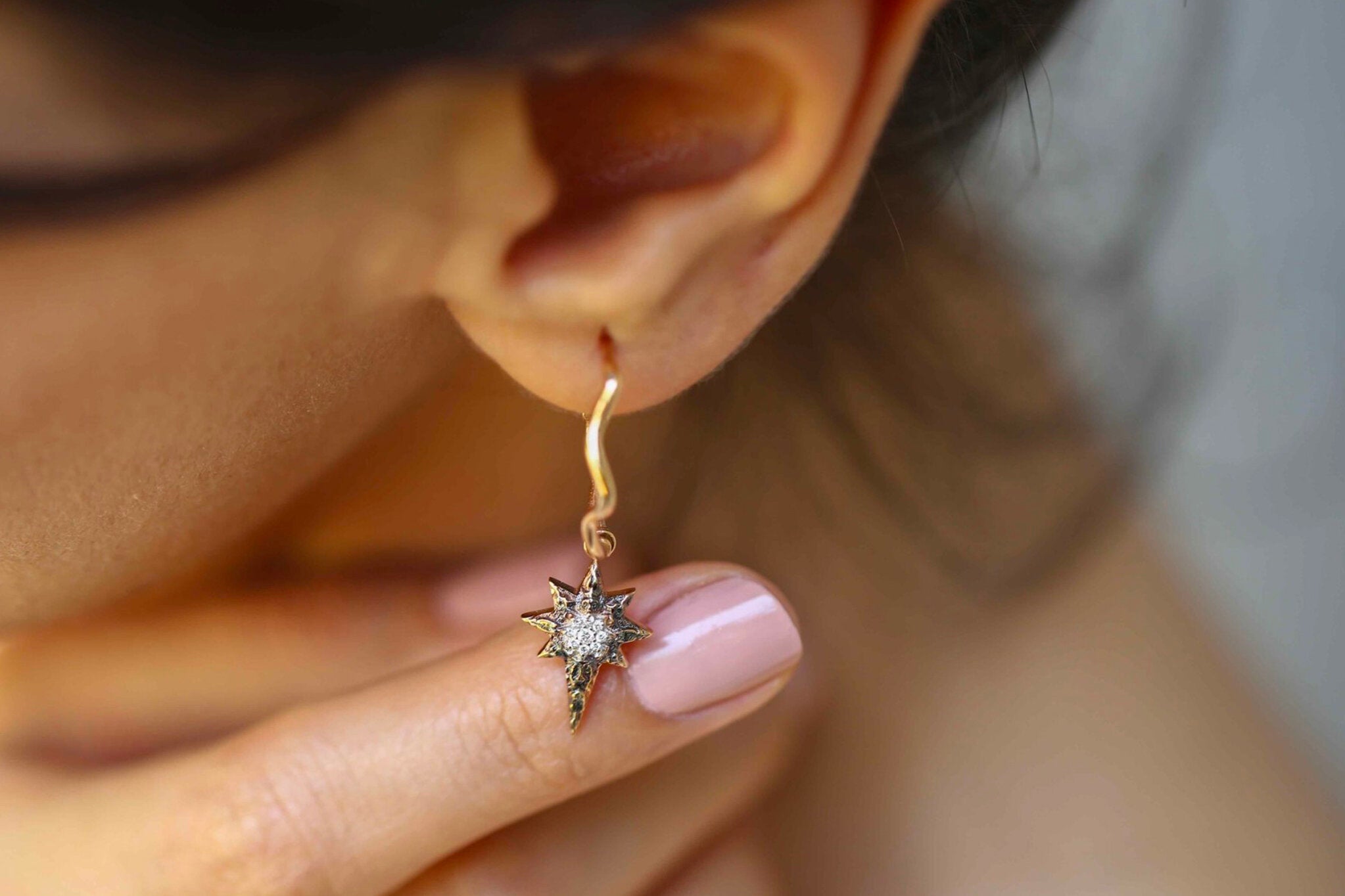 North Earrings