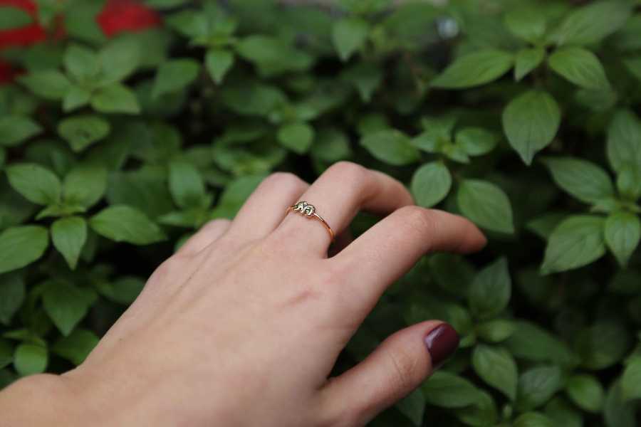 Elephant Ring