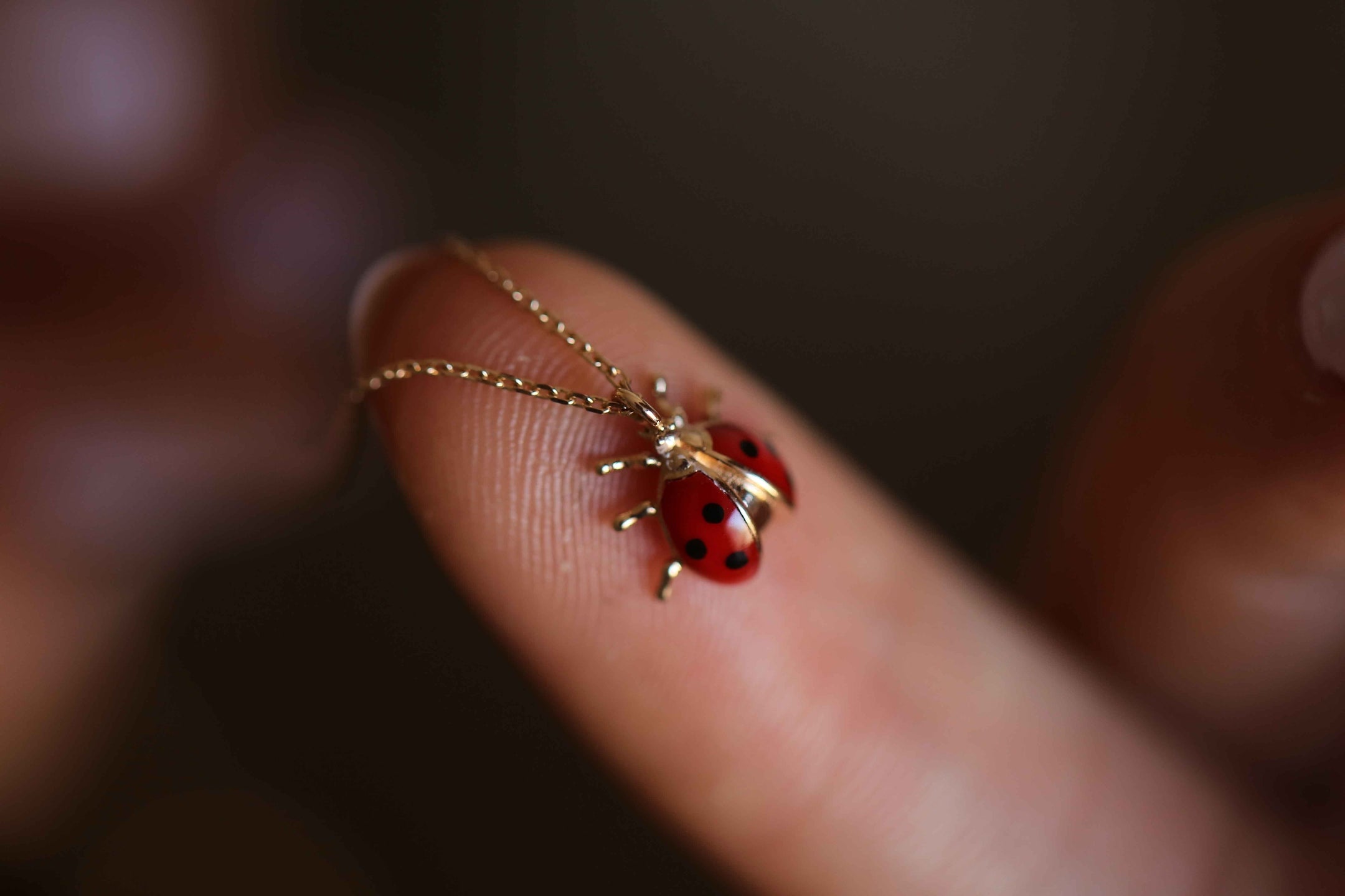 Ladybird