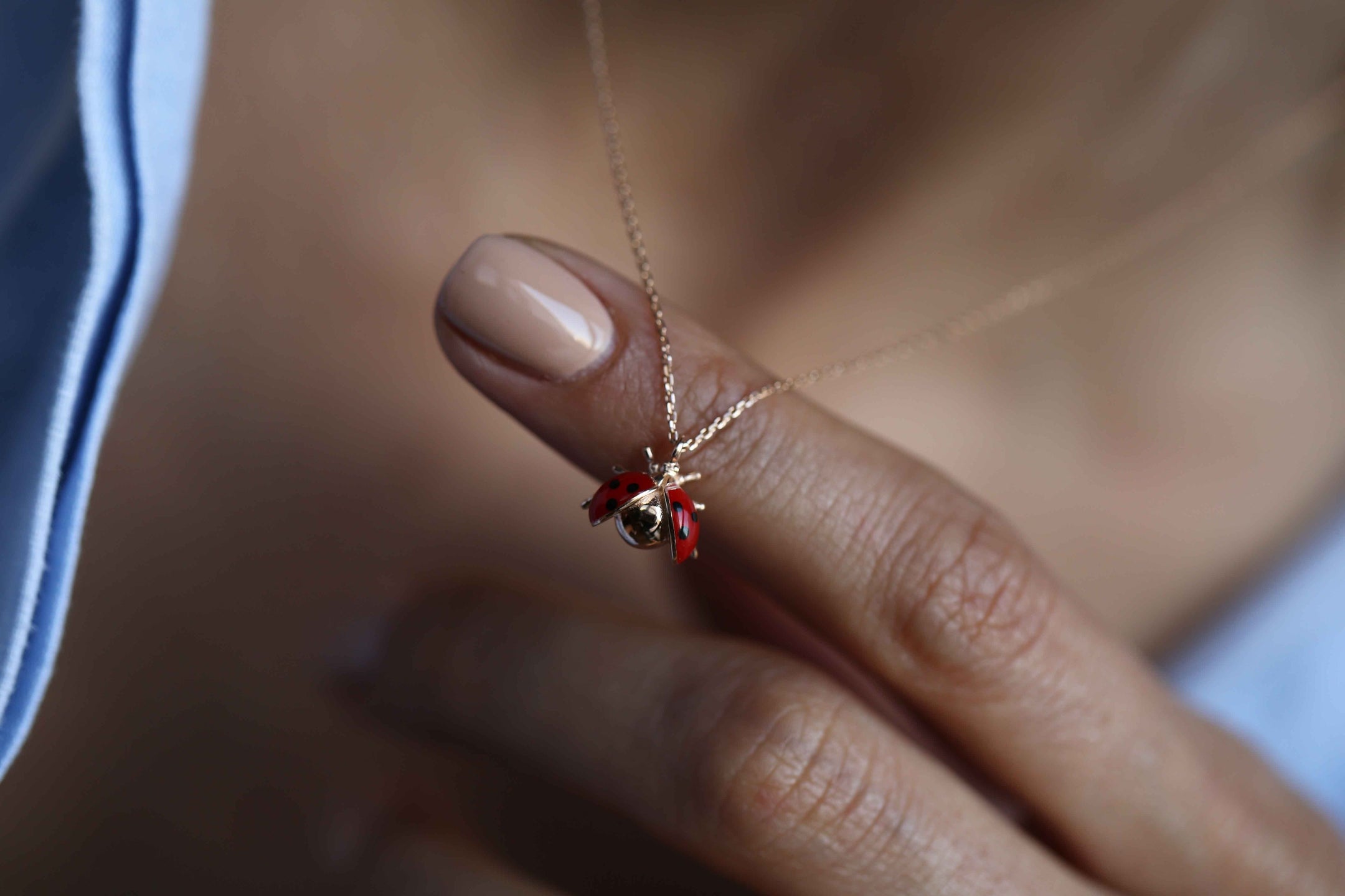 Ladybird