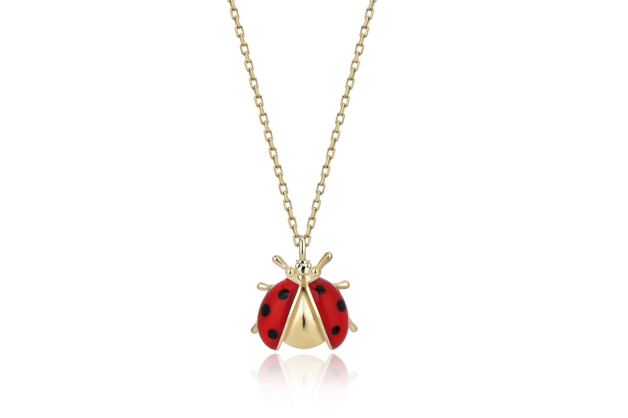 Ladybird