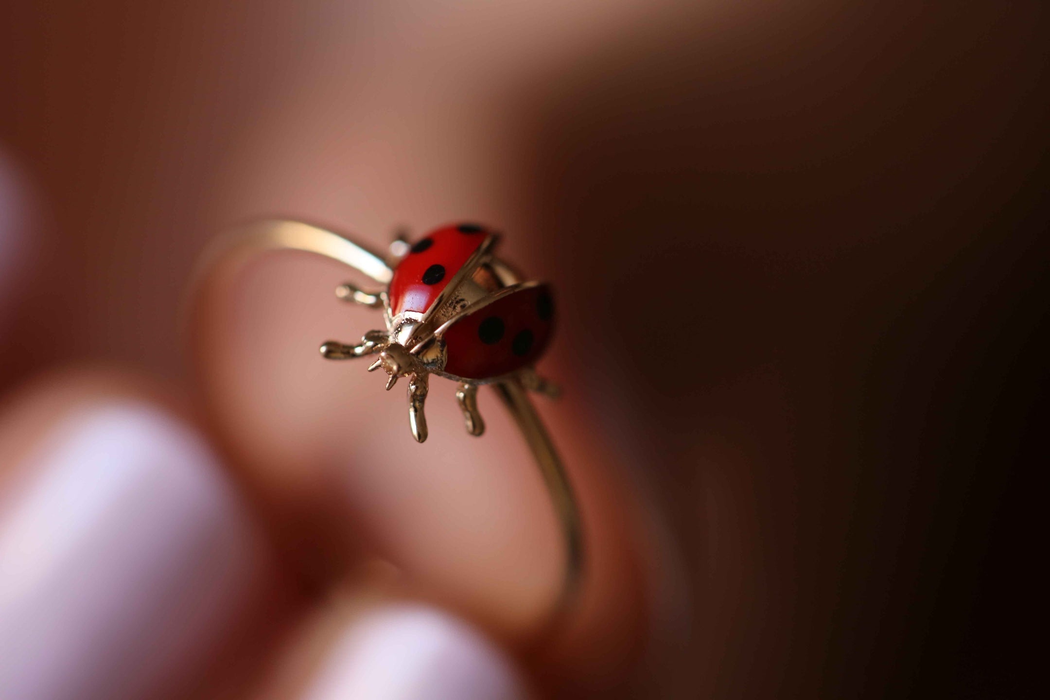 Ladybird Ring