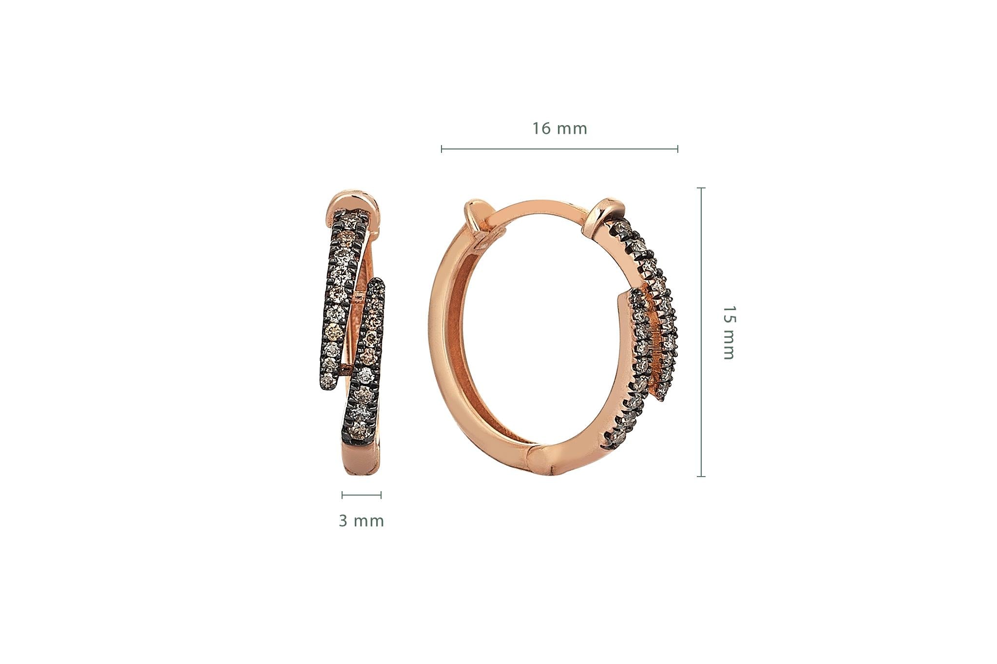 Claw Brown Earrings
