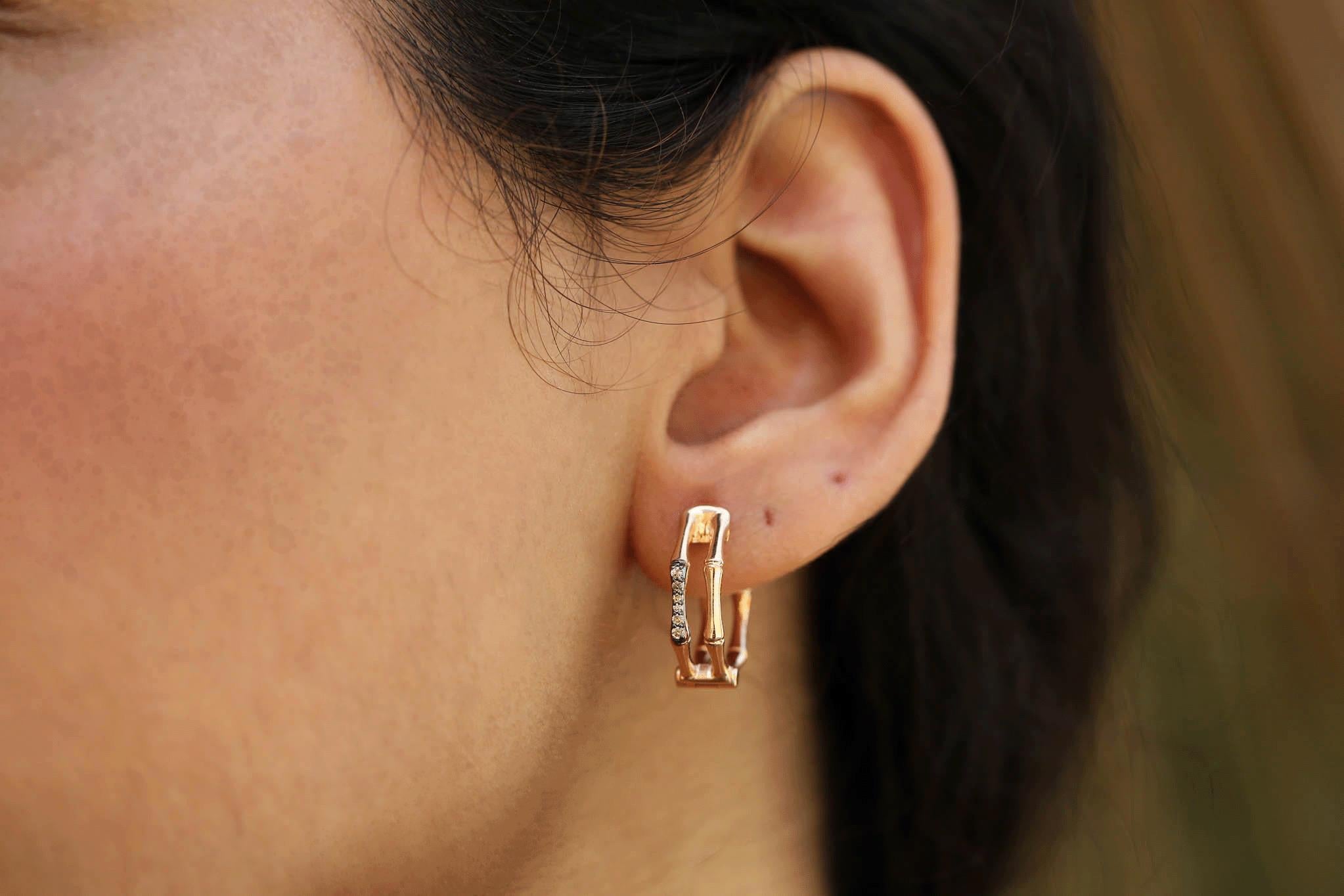 Bone Brown Earrings
