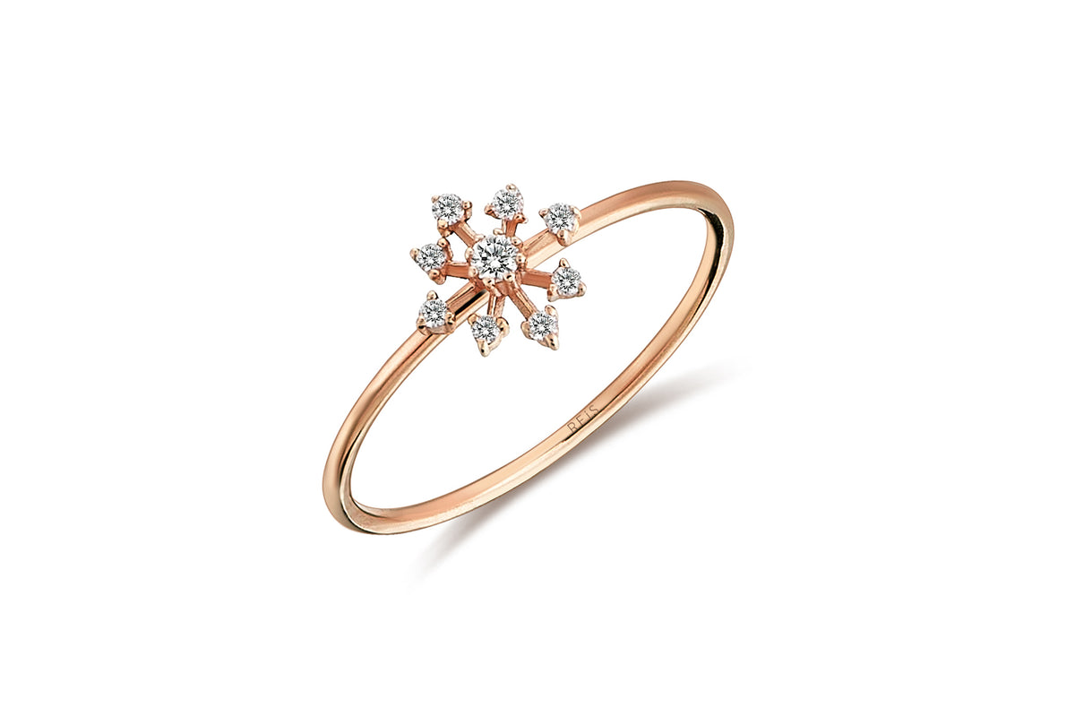 Compass Ring